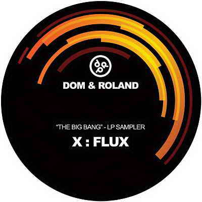 Dom & Roland - The Big Bang LP Sampler